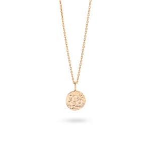Collier astro capricorne plaqué or