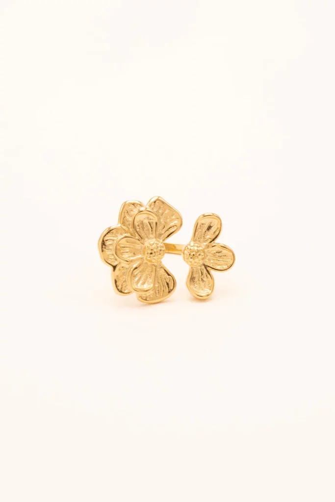 Bague Cyril double